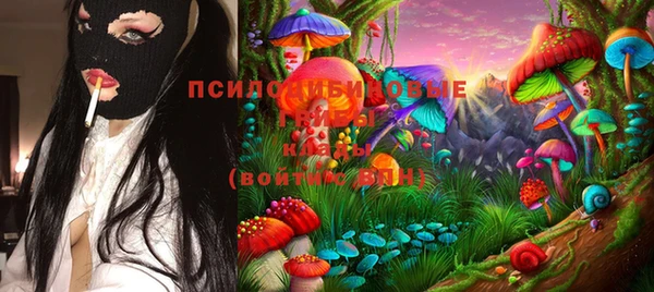 МДПВ Зеленодольск