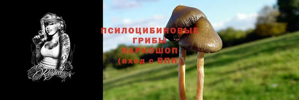 стафф Зерноград