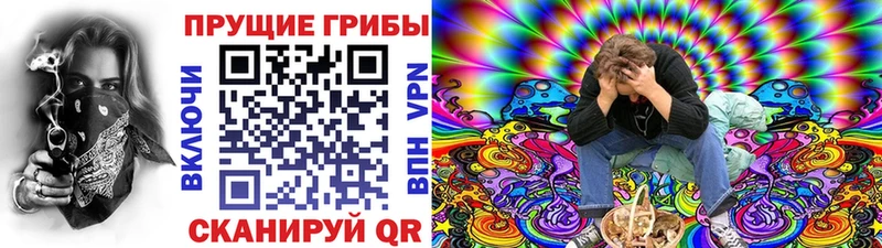Галлюциногенные грибы Cubensis  Купить закладки  Уяр 